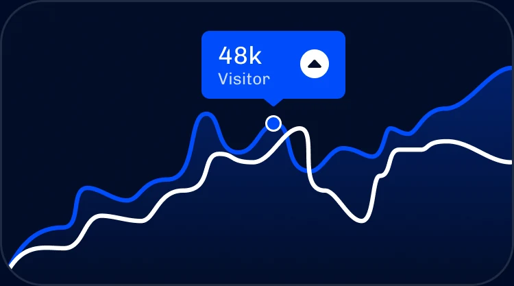 Visitor growth chart showing 48k visitors