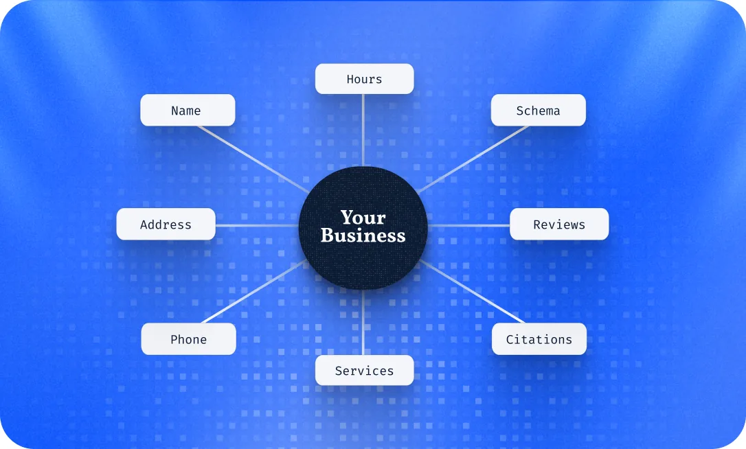 Business entity attributes: name, address, phone, hours, services, citations, reviews and schema